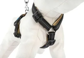 szelki-regulowane-dla-psa-soft-style-xl-czarne-odblaskowe