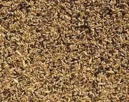 80-mieszanka-dla-kanarka-10kg-deli-nature