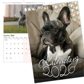kalendarz-scienny-2026-wieloplanszowy-duzy-notes-bulldog-francuskia-pies-a3