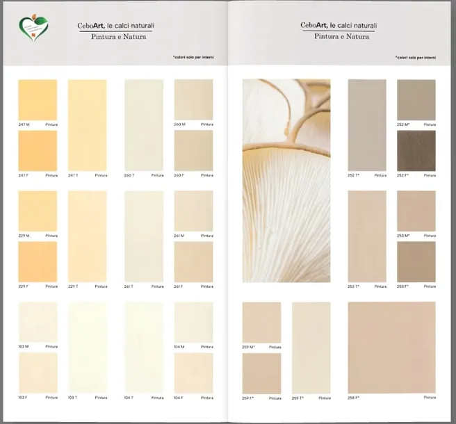 farba-wapienna-ceboart-pintura-4kg-rodzaj-scienna-strukturalna