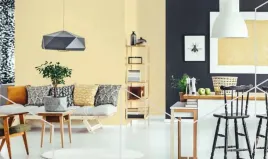 fox-dekorator-color-matt-farba-lateksowa-wewnetrzna-5-l-ncs-s-0520-g90y