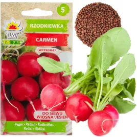 rzodkiewka-nasiona-rzodkiewki-carmen-czerwona-wczesna-nie-parcieje-10g