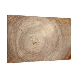 szklana-tablica-magnetyczna-drewno-pien-90x60