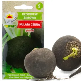 rzodkiew-czarna-kulata-zimowa-cerna-5g-nasiona-rzodkwi-zimowej-bialy-miazsz