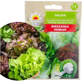 salata-mix-odmian-na-salatke-kolorowa-tasma-7m
