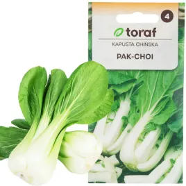 kapusta-pak-choi-chinska-1g-nasiona-kapusty-chinskiej-toraf-do-salatek