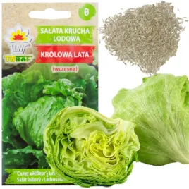 salata-krucha-lodowa-krolowa-lata-wczesna-nasiona-salaty-warzyw-1g