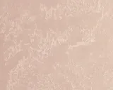 fox-kalahari-noster-stan-nowy