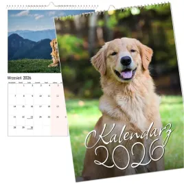 kalendarz-scienny-2026-wieloplanszowy-duzy-notes-golden-retriever-pies-a3