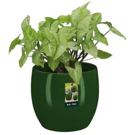 doniczka-zielona-donica-15-cm-okragla-ceramiczna-szkliwiona-kwiaty-rosliny