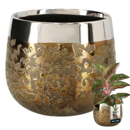 doniczka-okragla-zlota-efekt-lustra-12-5-cm-ceramiczna-oslonka-na-kwiaty