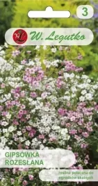 gipsowka-rozeslana-mix-03-g-legutko