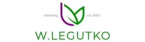 kiwano-02-g-legutko-styl-ogrod-nowoczesny