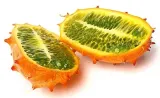 kiwano-02-g-legutko-cykl-rozwojowy-rosliny-jednoroczna