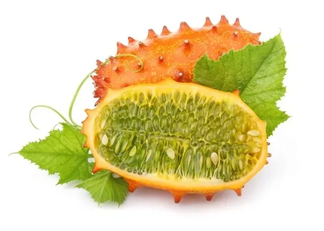 kiwano-02-g-legutko-nazwa-lacinska-cucumis-metulifer