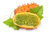 kiwano-02-g-legutko-nazwa-lacinska-cucumis-metulifer