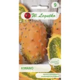 kiwano-02-g-legutko-rodzaj-inny