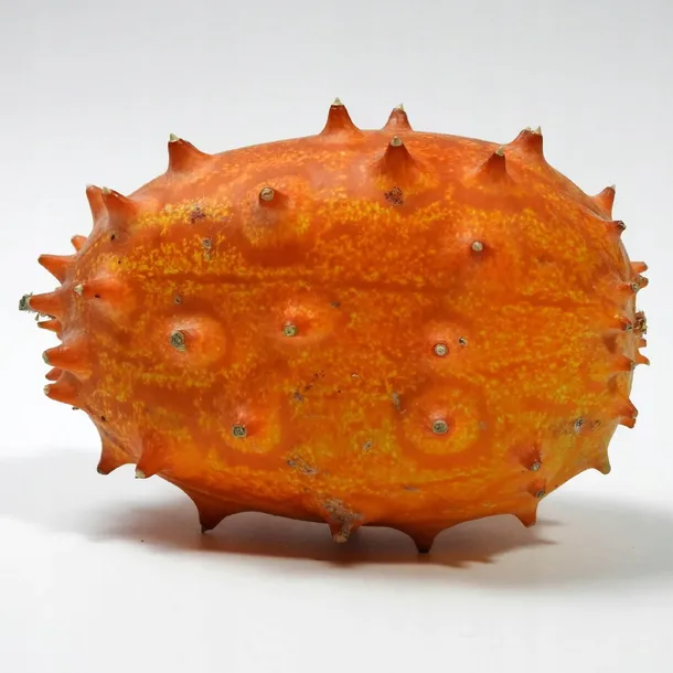 kiwano-02-g-legutko-rodzaj-rosliny-inny-cykl-rozwojowy-rosliny-jednoroczna