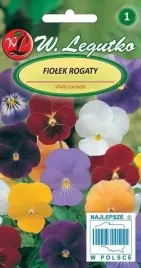 fiolek-rogaty-mix-05-g-legutko