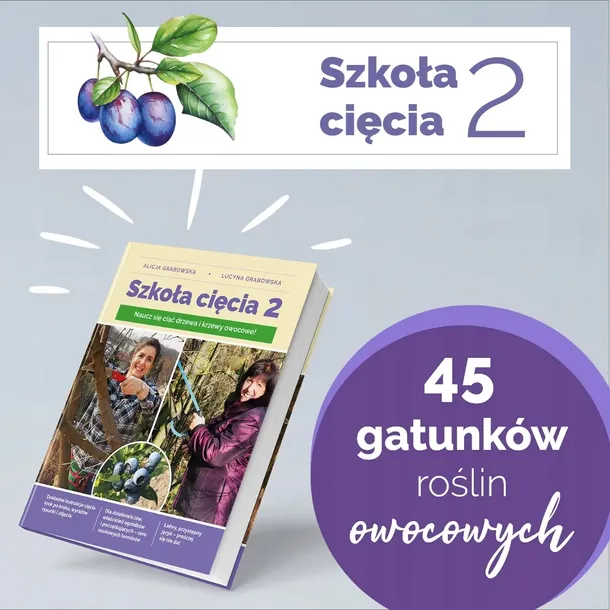 szkola-ciecia-2-tytul-szkola-ciecia-2