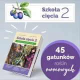 szkola-ciecia-2-tytul-szkola-ciecia-2