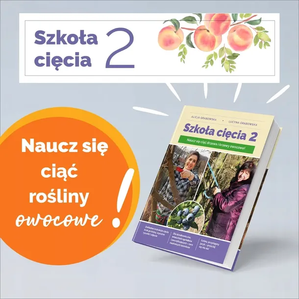 szkola-ciecia-2-nosnik-ksiazka-papierowa