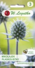 mikolajek-plaskolistny-niebieski-03-g-legutko