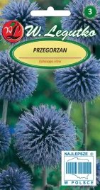 przegorzan-niebieski-1-g-legutko