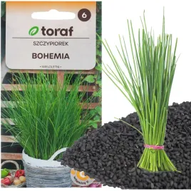 szczypiorek-bohemia-2g-nasiona-szczypiorku-szybko-rosnie-wieloletni