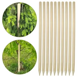 palik-drewniany-fi-32-150-cm-kij-tyczka-do-podpierania-katalpy-10-szt