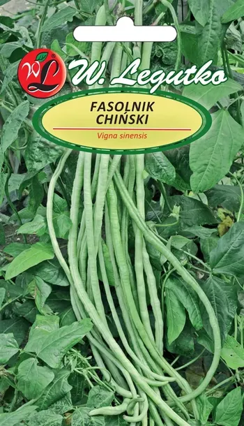 fasolnik-chinski-5-g-legutko-cykl-rozwojowy-rosliny-jednoroczna