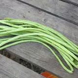 fasolnik-chinski-5-g-legutko-rodzaj-rosliny-inny-stan-nowy