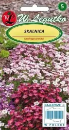 skalnica-mix-01-g-legutko