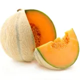 melon-emir-f1-1-g-legutko-rodzaj-rosliny-inny