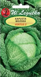 kapusta-wloska-vertus-2-2-g-legutko