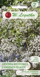 gipsowka-wiechowata-biala-1-g-legutko