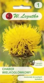 chaber-wielkoglowkowy-zolty-1-g-legutko
