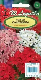 firletka-chalcedonska-mix-03-g-legutko