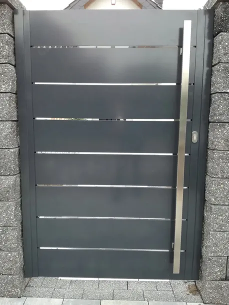 ceownik-120x20-palisadowe-ogrodzenie-plot-c2-profi-kod-producenta-c2-120x20-z-bl-1