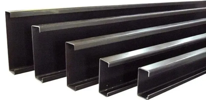 ceownik-120x20-palisadowe-ogrodzenie-plot-c2-profi