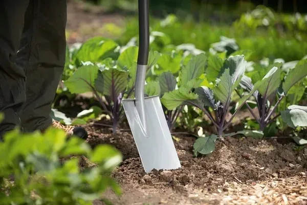 szpadel-prosty-as-d-wolf-garten-stan-nowy-wykonczenie-czesci-roboczej-proste
