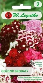 gozdzik-brodaty-pojedynczy-mix-1-g-legutko