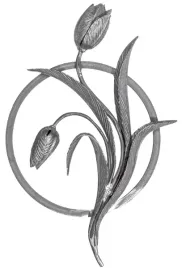 rozeta-ozdobna-stalowa-13-249-ogrodzenie-brama