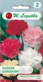 gozdzik-ogrodowy-mix-05-g-legutko