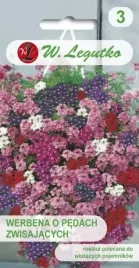 werbena-o-pedach-zwisajacych-03-g-legutko