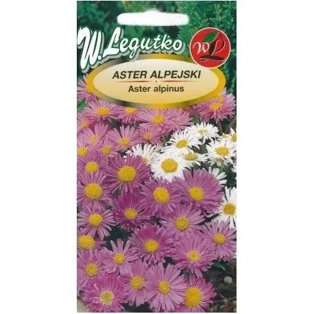aster-alpejski-mix-03-g-legutko-stan-nowy