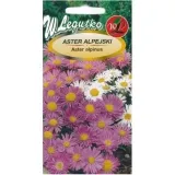 aster-alpejski-mix-03-g-legutko-stan-nowy
