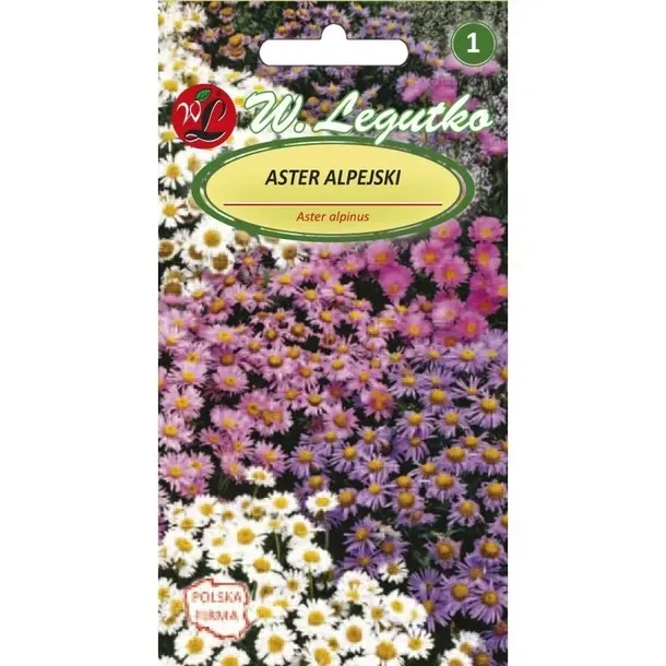 aster-alpejski-mix-03-g-legutko-kod-producenta-5903837040001