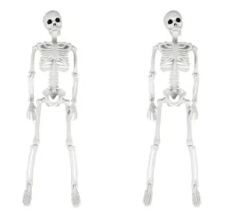 2x-kosciotrup-szkielet-dekoracja-na-halloween-wiszacy-ruchomy-kosci-40cm