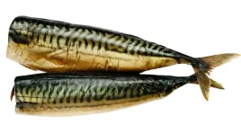 makrela-krolewska-fao27-wedzona-na-cieplo-miesista-05-kg-eko